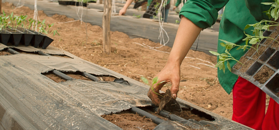 foto publicacion Más de 1.800 víctimas del conflicto encontraron empleo en medio de la pandemia