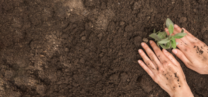 foto publicacion En marcha, estrategia de inclusión laboral para víctimas del conflicto armado 2020