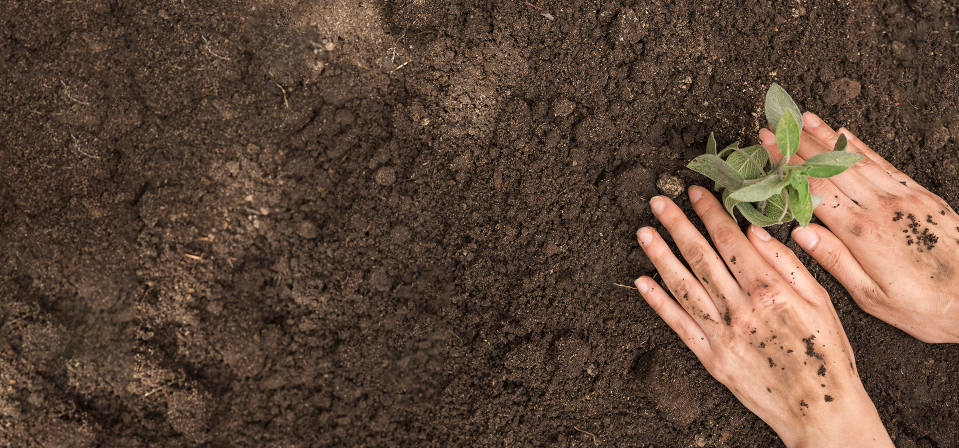 foto publicacion En marcha, estrategia de inclusión laboral para víctimas del conflicto armado 2020